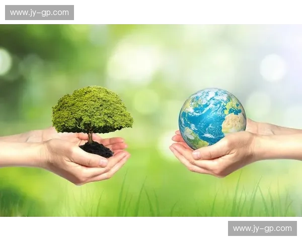 以体育设备报废为切入点推动资源循环利用与绿色管理创新研究